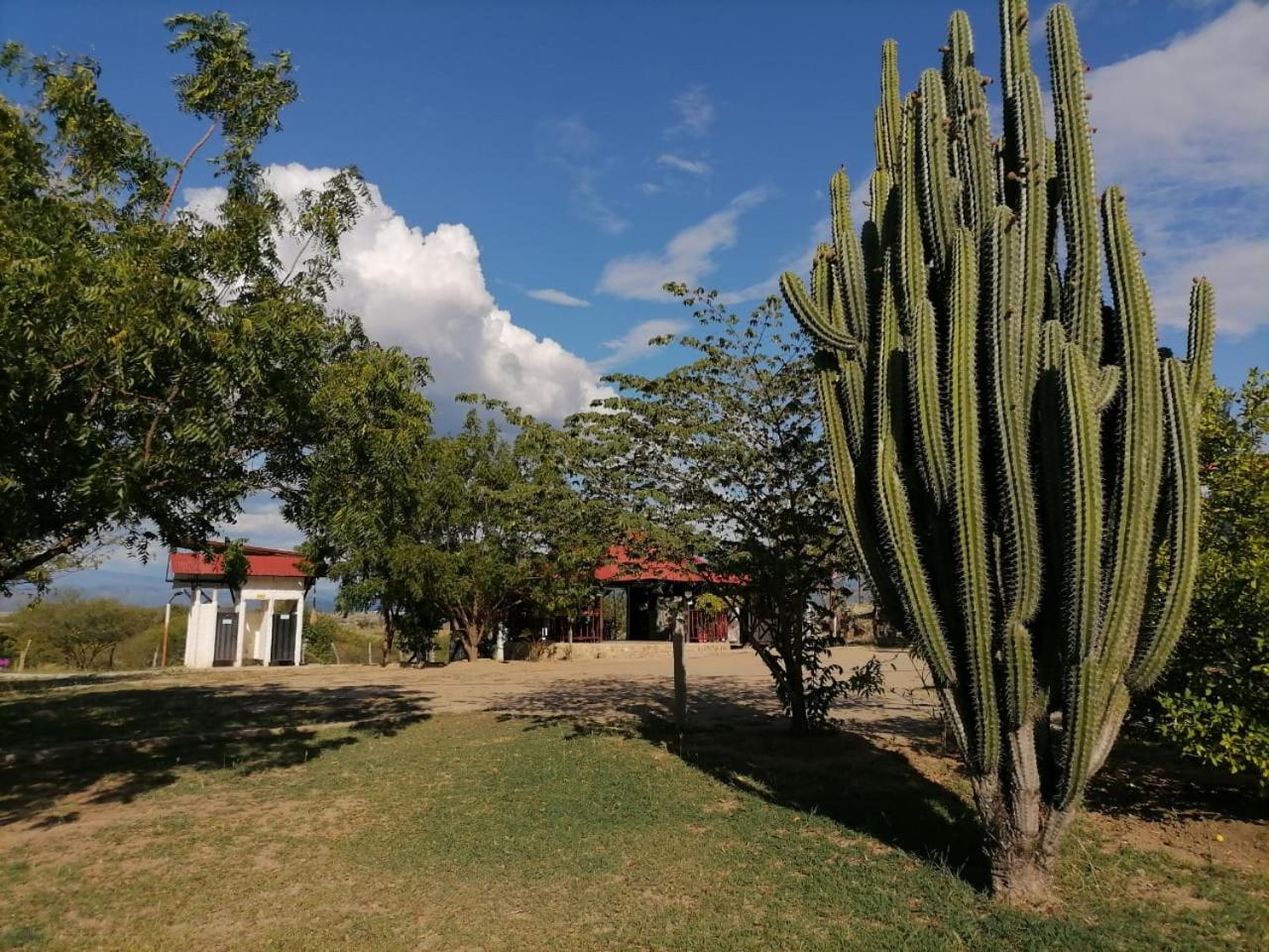 Lodge Payande - Tatacoa