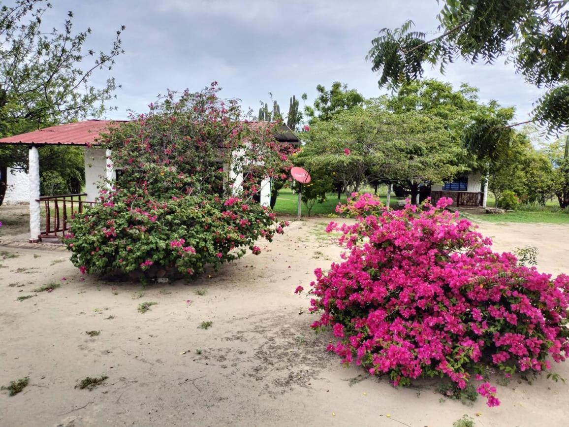 Payande - Tatacoa Villavieja